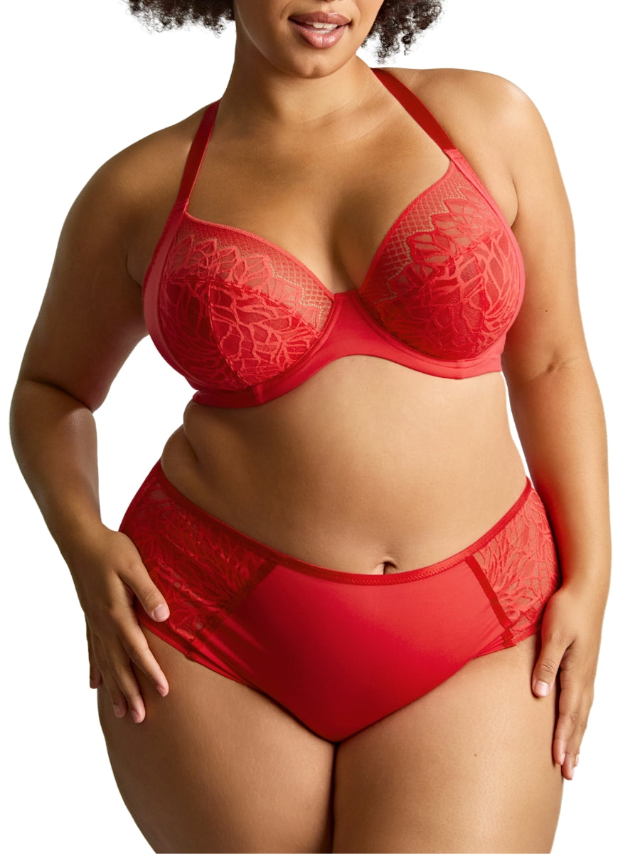 Sophia Plunge Bra - Red