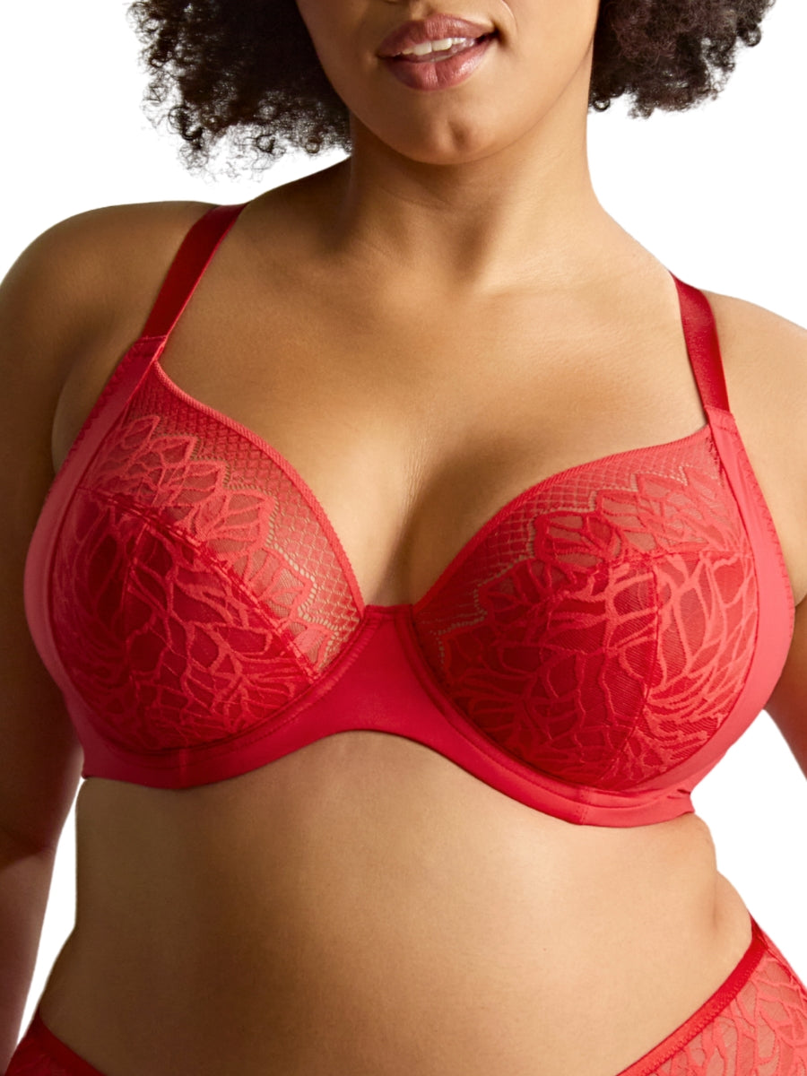 Sophia Plunge Bra - Red