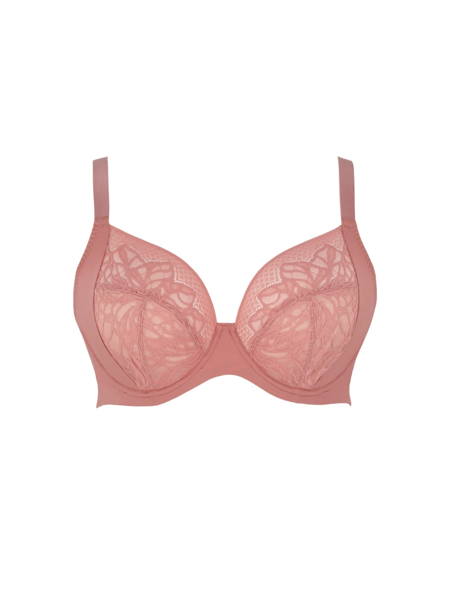 Sophia Plunge Bra - Sienna Rose