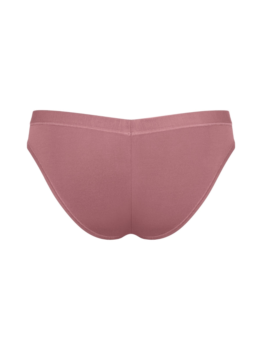 FREE Evolve Mini Brief