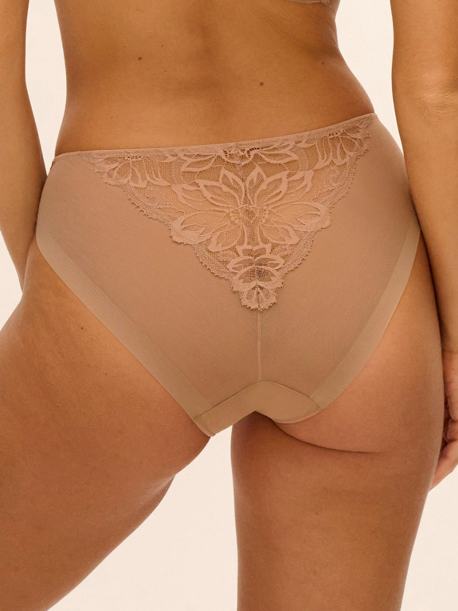 Abellia Brief