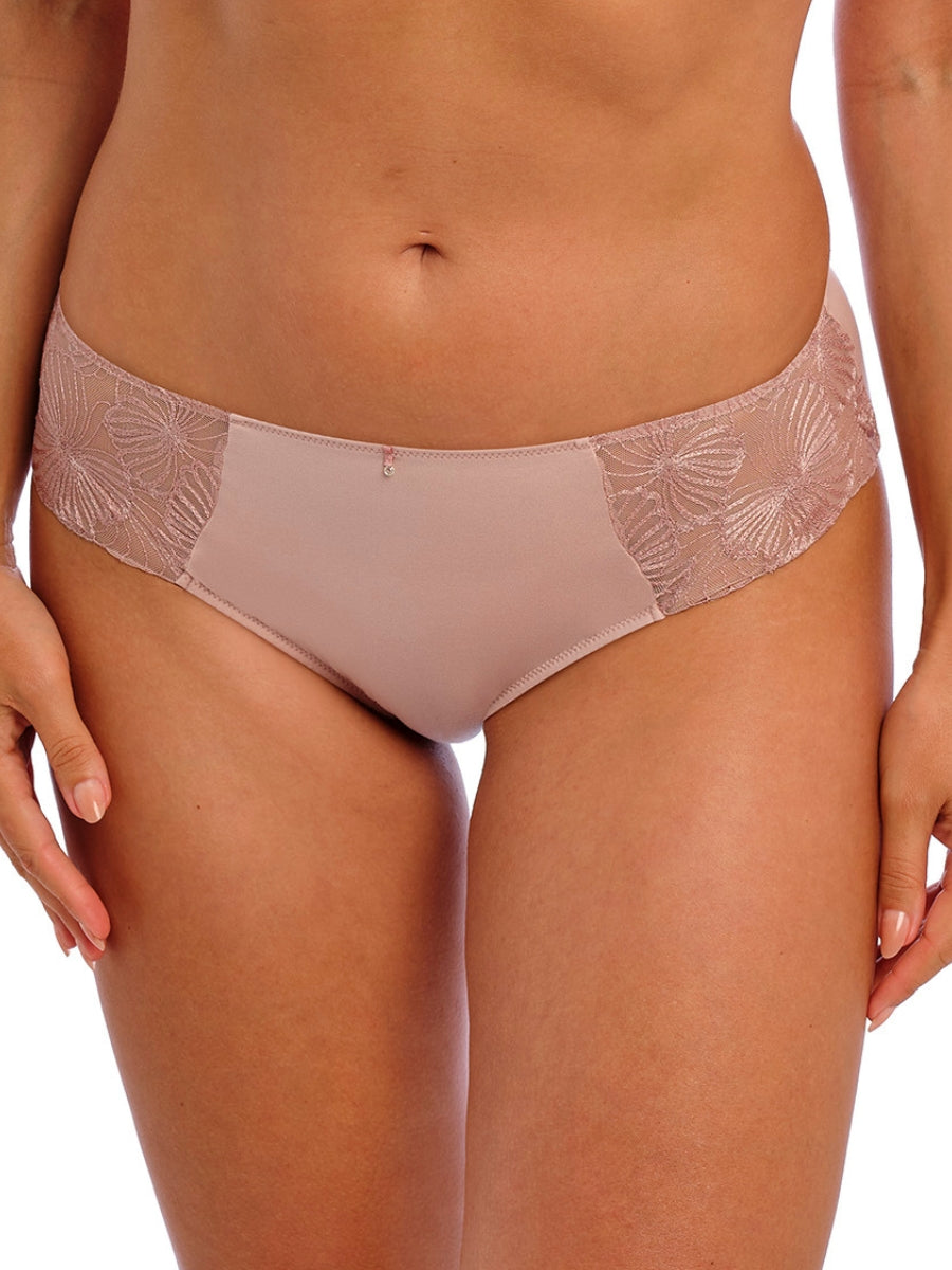 Cateline Brief