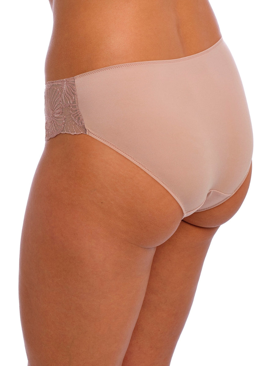 Cateline Brief