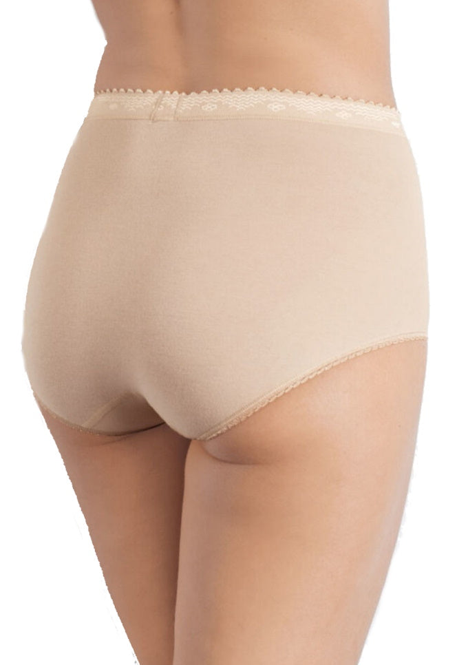 Control Maxi Brief (2 Pack)