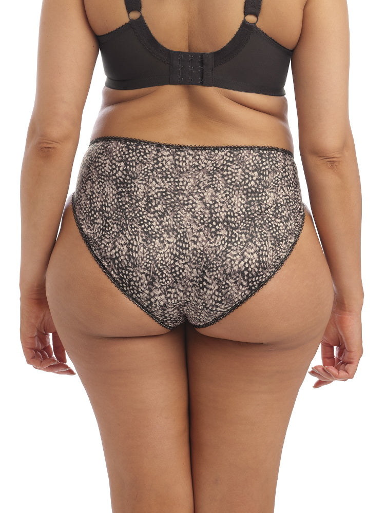 Elomi Morgan Full Brief