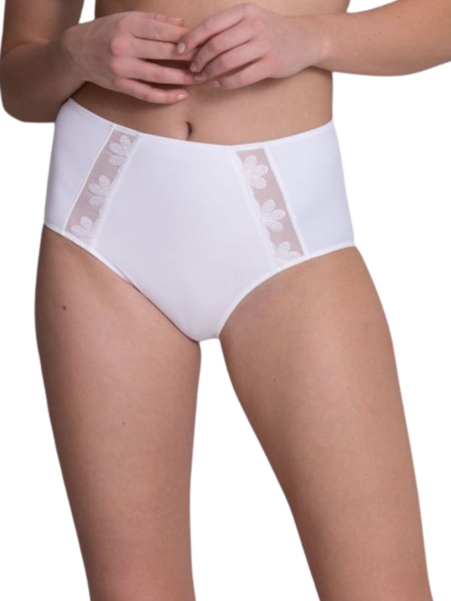 Anita Sophia High-Waist Briefs