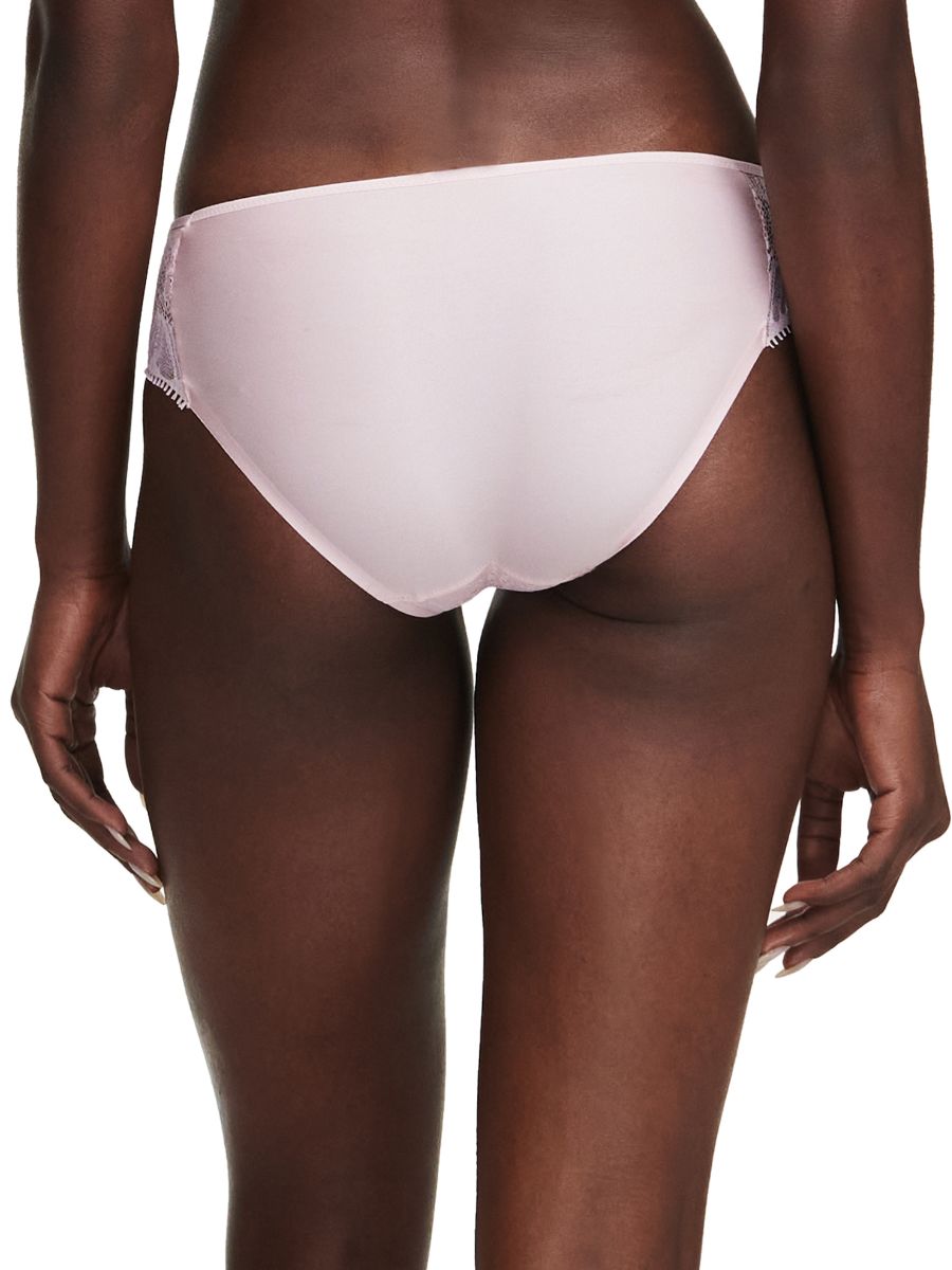 chantelle day to night brief