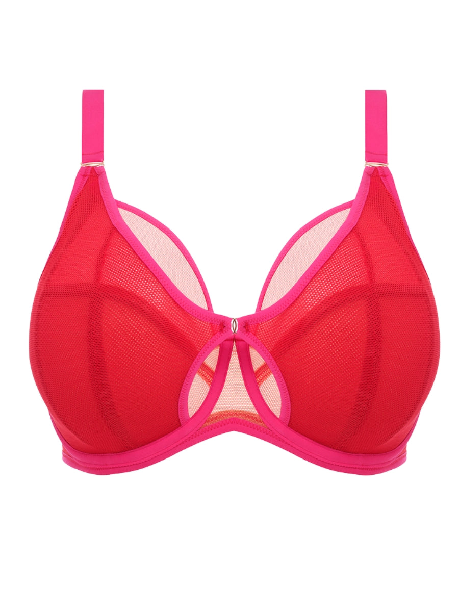 Elomi Kintai Underwired Plunge Bra Cha Cha BraForMe