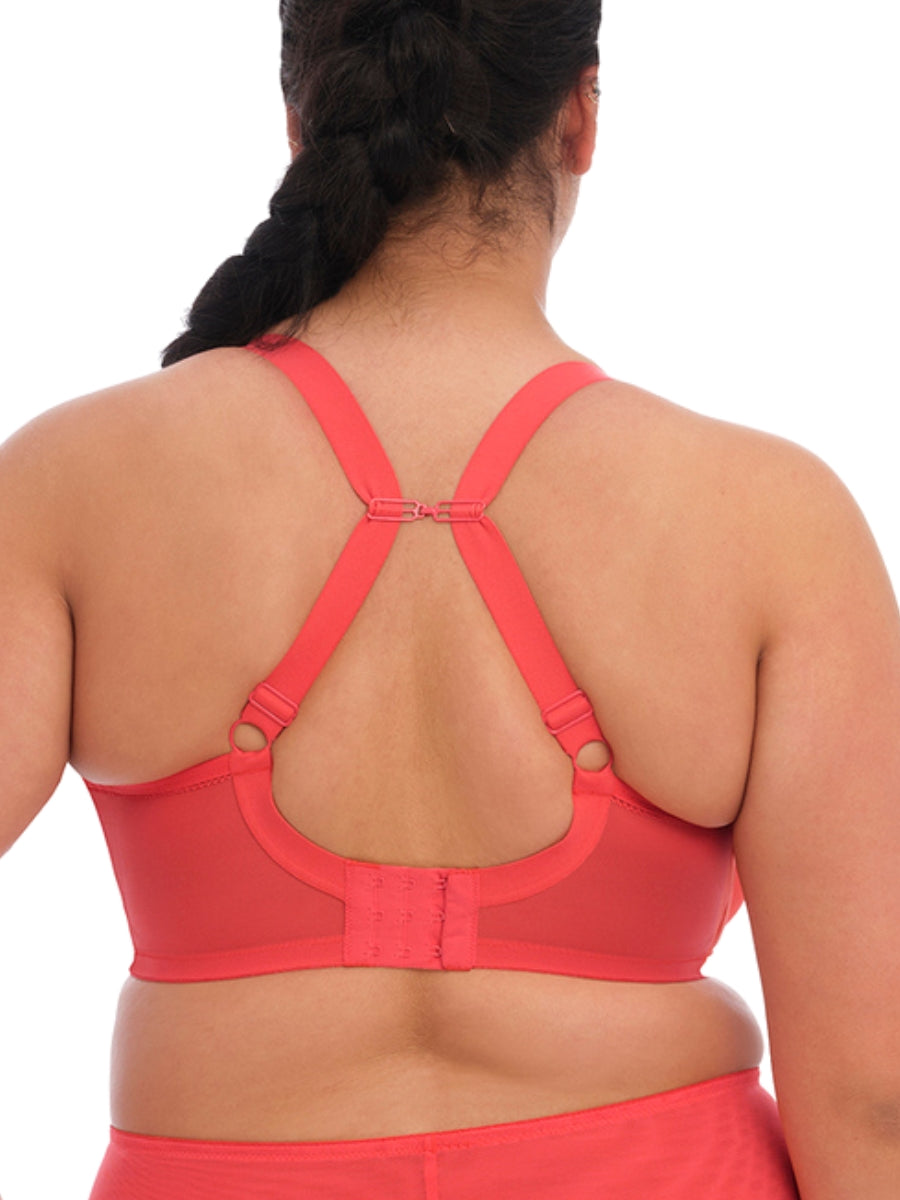 elomi bijou moulded banded bra cayenne