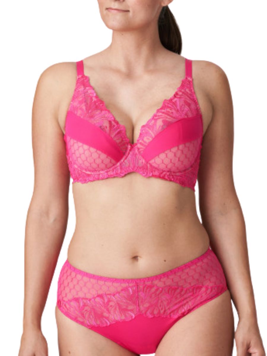 primadonna disah full brief