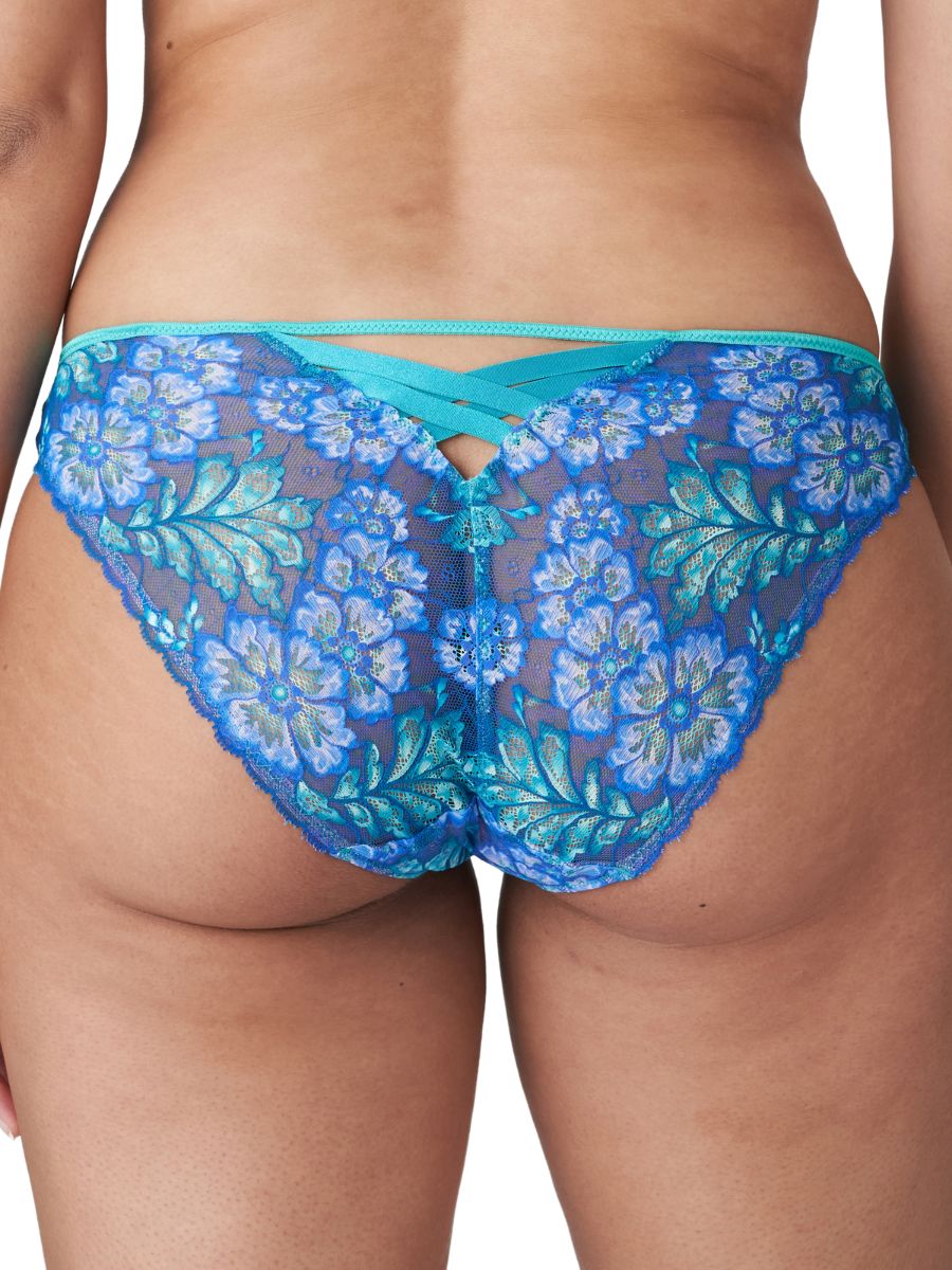 primadonna twist morro bay brief