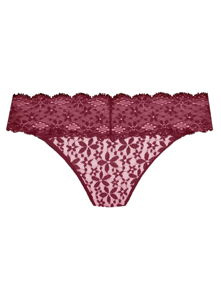 wacoal halo lace bikini brief