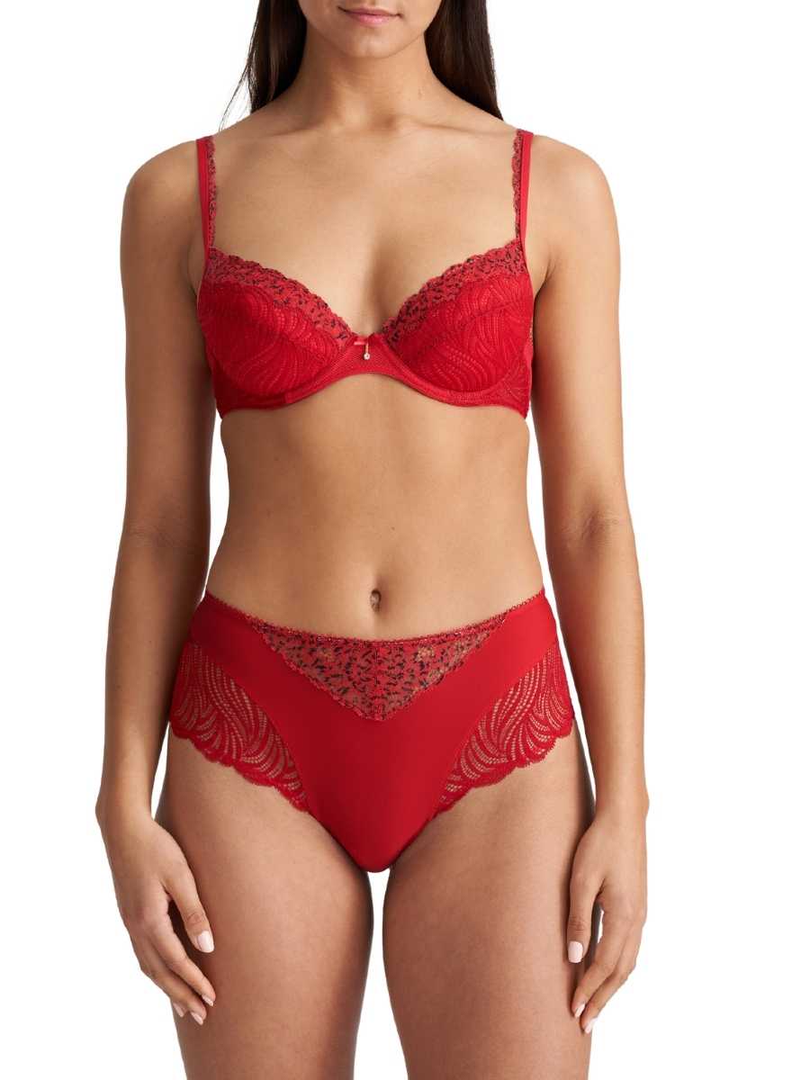 Marie Jo Coely Full Brief