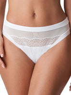 Sophora Rio Brief